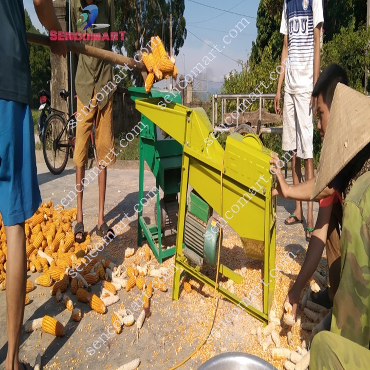 Máy tách hạt ngô trục đứng tách hạt siêu tốc,siêu sạch không gây vỡ hạt