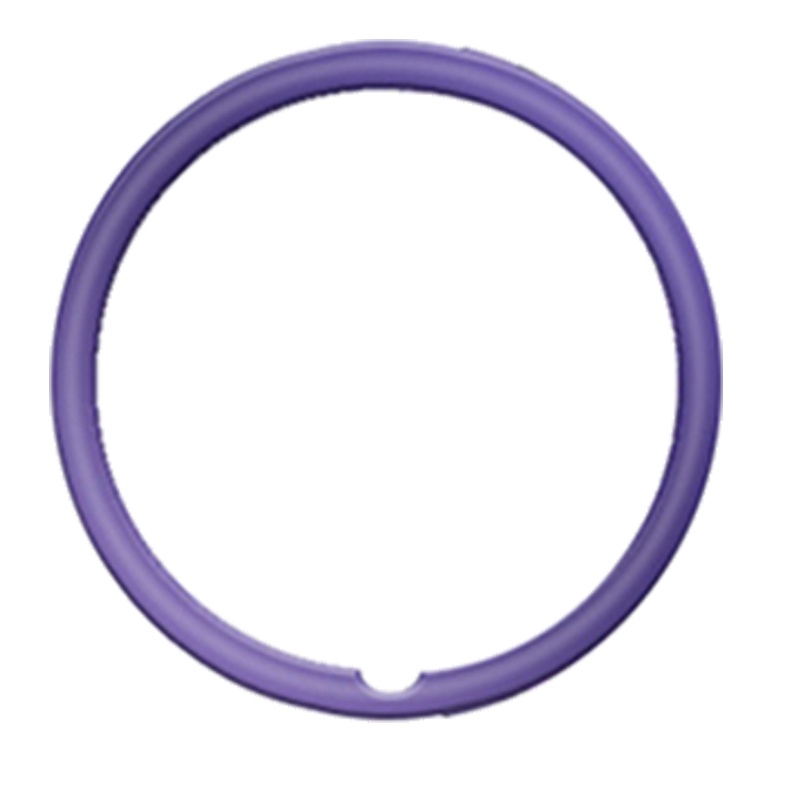 Dây Đeo Thay Thế Chất Liệu Da Cho Garmin Lily