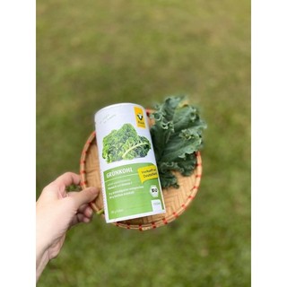 Bột cải xoăn hữu cơ raab - 190g