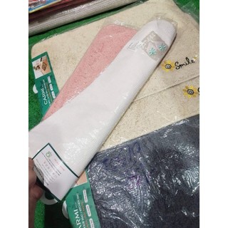 Thảm chùi chân cao cấp ( giao màu ngẫu nhiên)