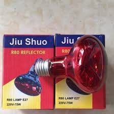 Bóng đèn sưởi thú y 175w. Đèn sưởi hồng ngoại sưởi ấm chó mèo, gà con