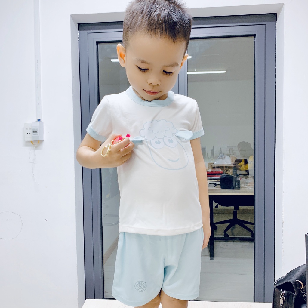 Bộ cộc tay PETIT 3D Hrnee Smart Wear cho bé từ 6 tháng - 4 tuổi
