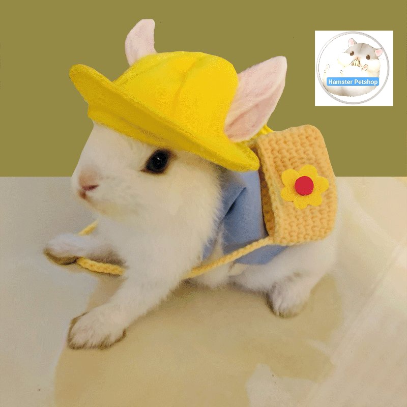 Bộ áo và dây dắt cho Thỏ