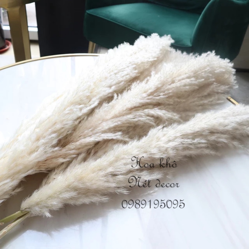 🌸 Cành Lau xù size lớn decor trang trí 🌸 Cành Lau xù cao dài hàng đẹp