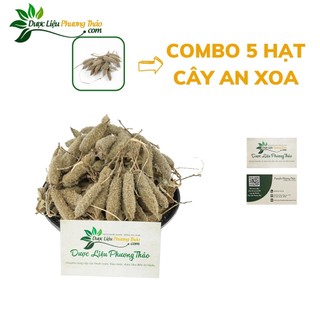 Combo 5 hạt giống cây An Xoa