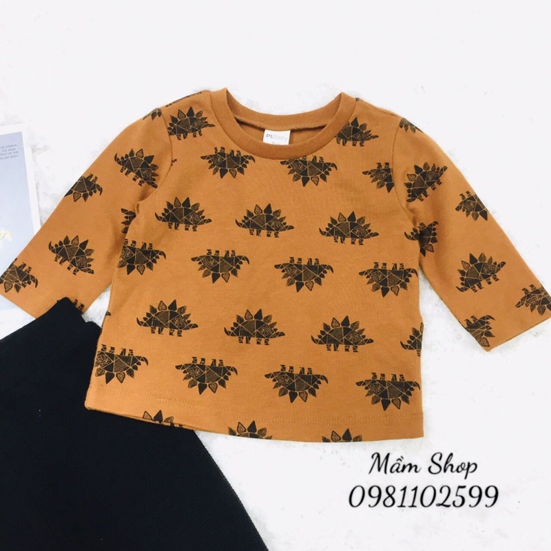 Bộ  khủng long bé trai