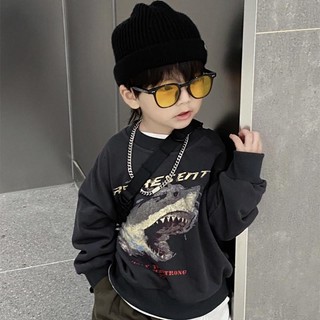 Áo Hoodie Dày Dặn Thời Trang Xuân Thu Cho Bé Trai