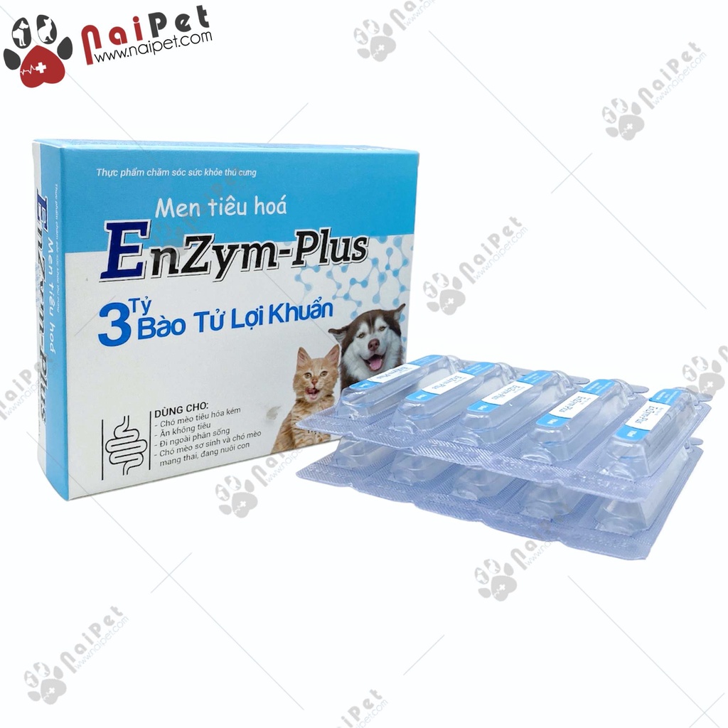Men Tiêu Hóa Cho Chó Mèo EnZym-Plus