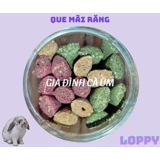 Hộp que mài răng ăn vặt cho thỏ/chuột lang