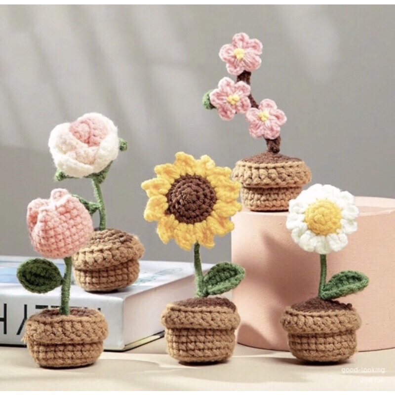 Chậu hoa mini trang trí để bàn