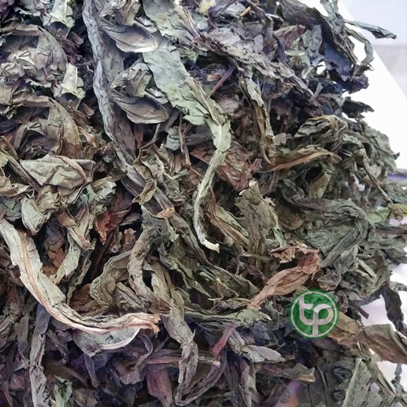 Lá Khôi Tía Sấy Khô , Trà Lá Khôi Tía