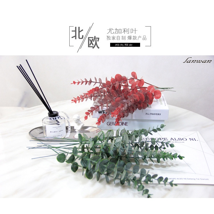 Cành Lá Táo Khuynh Diệp Giả Merber Loại 1 Nhánh - Cành Lá Khô Decor Trang Trí Nhà, Phòng Khách, Đồ Decor Chụp Ảnh