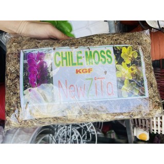 DỚN TRẮNG CHILE - gói 100g