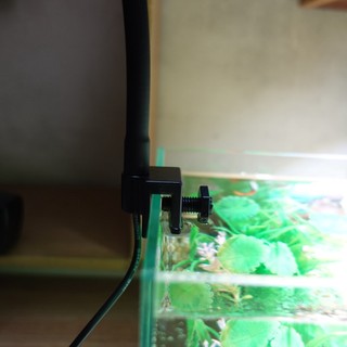Đèn led thủy sinh kẹp thành bể cá SD-300