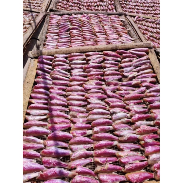 Khô Cá Phèn Hồng_Cá Phèn Hồng 1 Nắng[Hỏa Tốc-Tân Bình