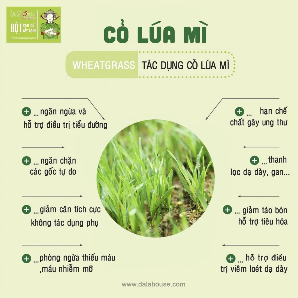 Bột Cỏ Lúa Mì Dalahouse - Bột Cỏ Lúa Mì Hữu Cơ Nguyên Chất Sấy Lạnh Dalahouse - Organic Wheatgrass Powder - Lon 120g