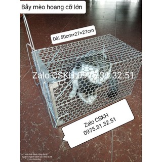 Bẫy mèo hoang cỡ lớn