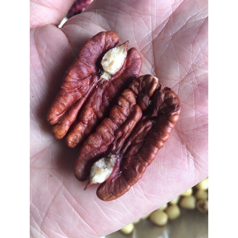 Nhân Hạt Hồ Đào Mỹ - Pecans Nuts 1KG