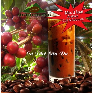 Cafe Rang Bơ Pha Sữa Đá Blend Arabica & Culi & Robusta Coffee Không Vị Chua Cà Phê