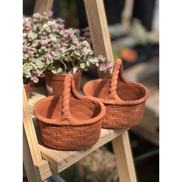 🌵 Chậu giỏ hoa trồng sen 🌵 - chậu trồng sen đá, xương rồng Gác Mái Sen