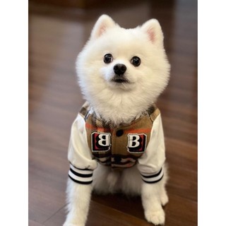 Áo khoác bomber burberry cho cún