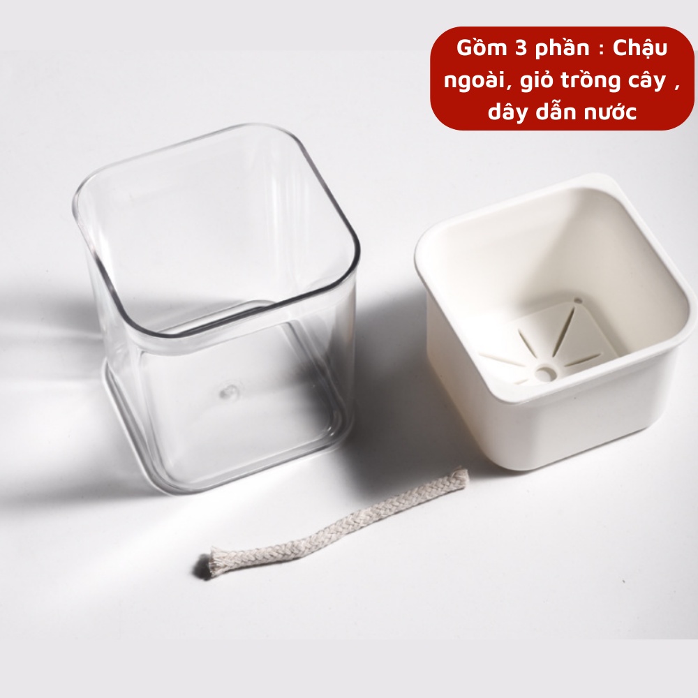 Chậu cây mini để bàn thông minh chậu nhựa thủy canh tự hút tưới nước cho cây decor văn phòng bàn làm việc