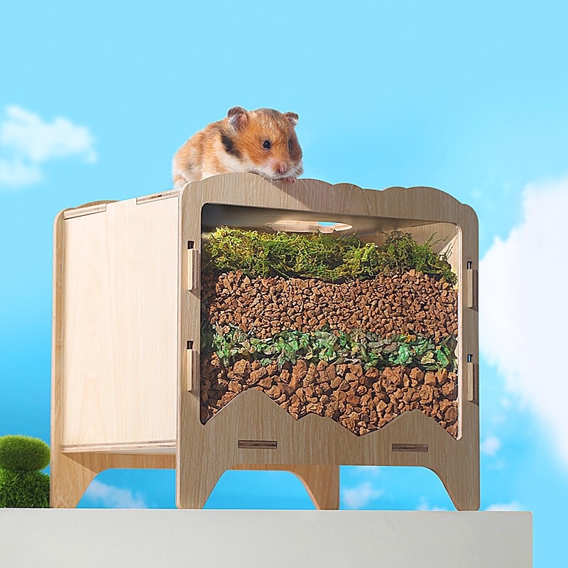 Hộp Đào Hầm Trú cho Hamster | Thú Nhỏ