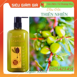 Dầu gội argan Hachi 500ml được chiết xuất từ quả argan giúp phục hồi mái tóc khô và hư tổn