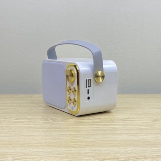 Loa Karaoke Bluetooth YS-103 Kèm 1 Micro Không Dây