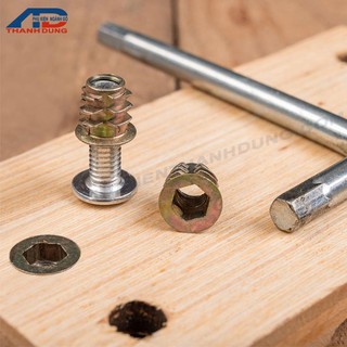 [GÓI 50 CÁI]Ốc Cấy Gỗ Có Vành M10x25