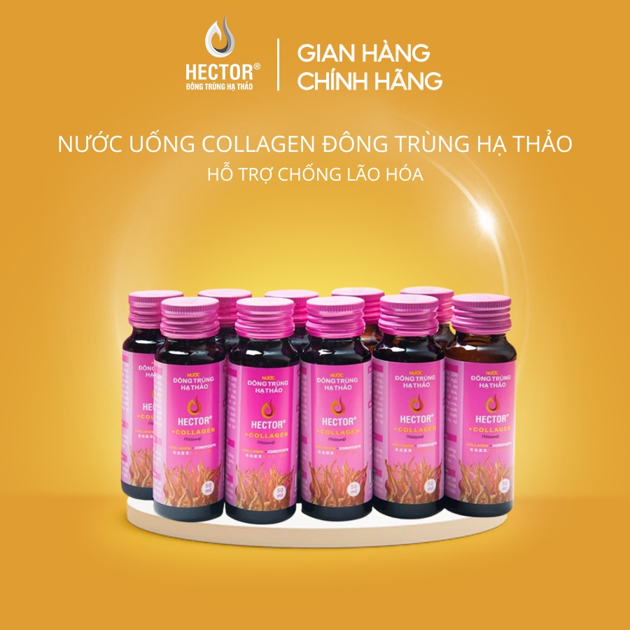 Nước uống collagen đông trùng hạ thảo Hector chống lão hóa (Hộp 10 lọ)