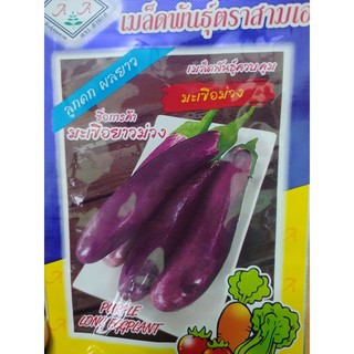 Hạt giống cà tím dài nhập khẩu thái lan