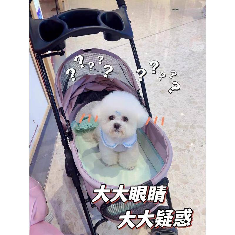 Kẹp Tóc Mini 2.2cm Bằng Epoxy Màu Sắc Dễ Thương Cho Thú Cưng