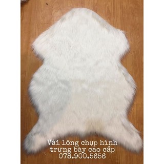 (Ảnh Thật) Thảm lông chụp ảnh - Hình GẤU - nhiều size