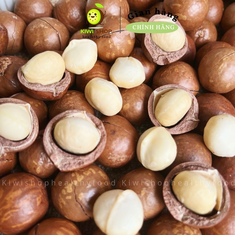 Hạt Macca còn vỏ, hạt to chất lượng hũ 500GR|KIWISHOP|