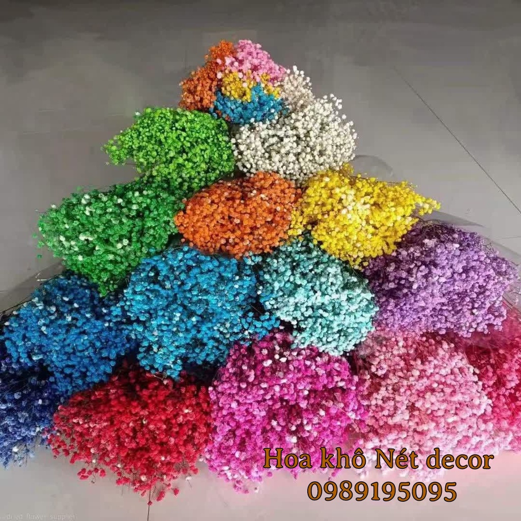 Hoa Baby khô nhiều màu không tàn dùng trang trí nhà bó nhỏ