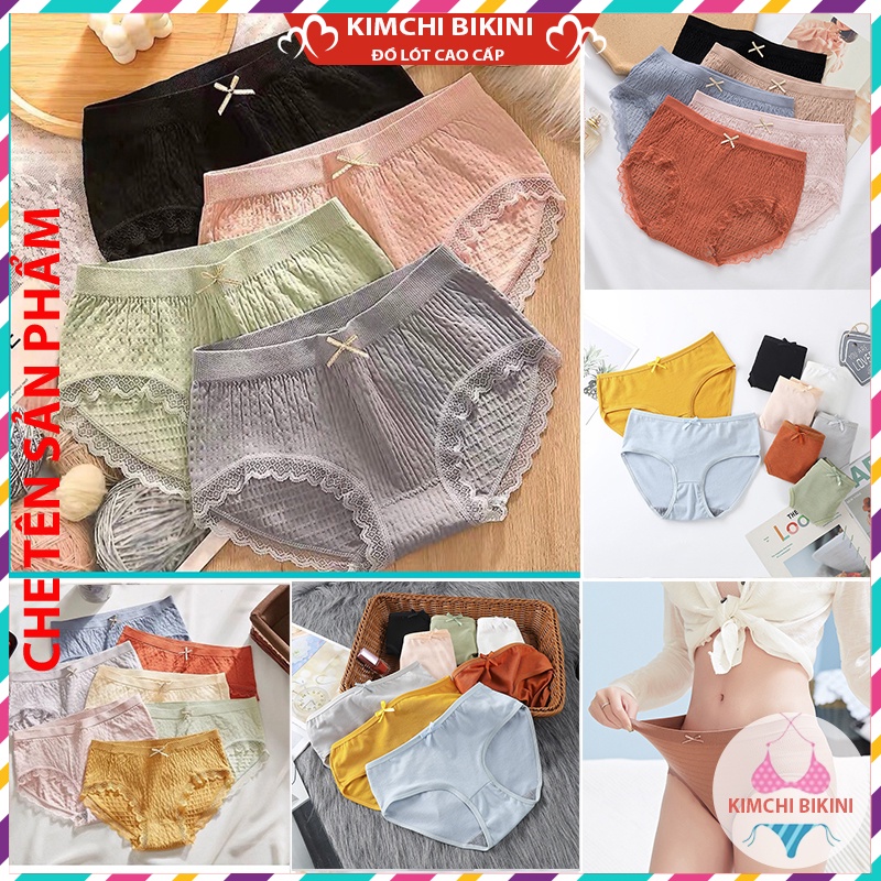 Quần lót chục cotton vải mềm ôm bụng nâng mông KIMCHIBIKINI quần lót nhiều mẫu mã đa dạng được chị em hay dùng