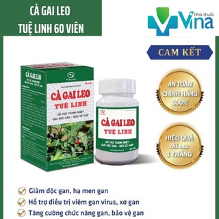Cà Gai Leo Tuệ Linh - Giải Độc Gan, Giải Rượu- Hộp 60 viên