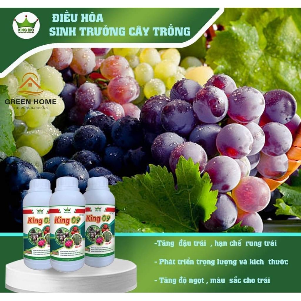 KING 09 Chín Trái Đồng Loạt - Phân Bón Lá Sinh Học Kali Hữu Cơ, Lớn Trái Nhanh, Tăng Độ Ngọt Chai 500ml