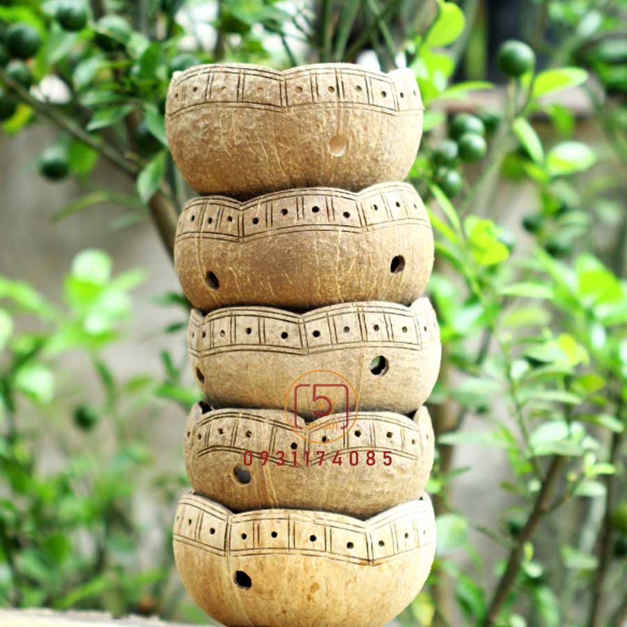 Gáo dừa miệng sen trồng lan cây cảnh [Coconut planters set]