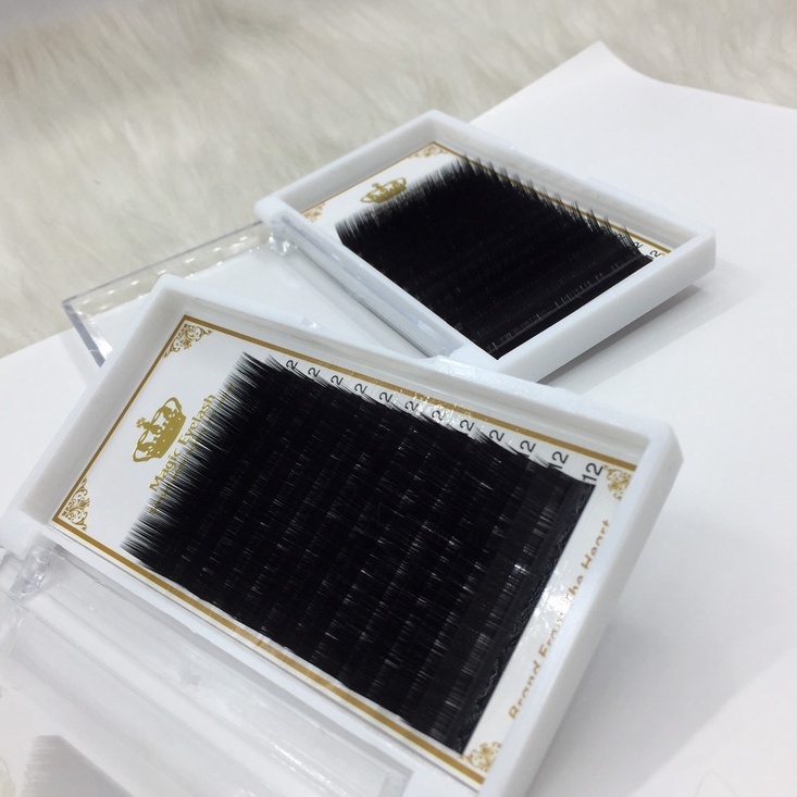 Mi lông chồn cong LD 0.07 _ dụng cụ nối mi _ Mr Đức