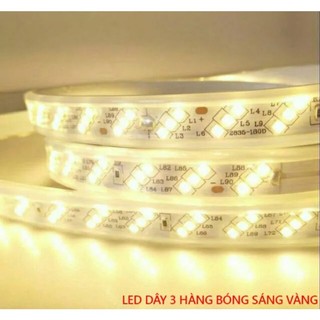 Led dây 3 hàng chéo.