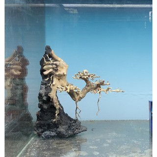 Bonsai thủy sinh dáng thác đổ