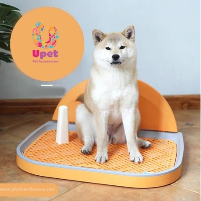 Khay Vệ Sinh Cho Chó Cao Cấp Có Tường Chắn