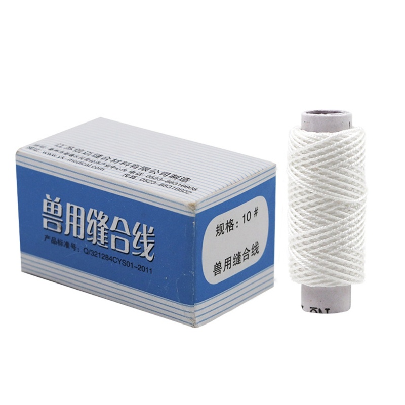 Bộ 10 Dụng Cụ Luyện Tập Sợi Chỉ Và Kim Sử Dụng Tiện Lợi