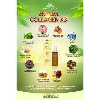 Serum collagen x3 mỹ phẩm đông anh