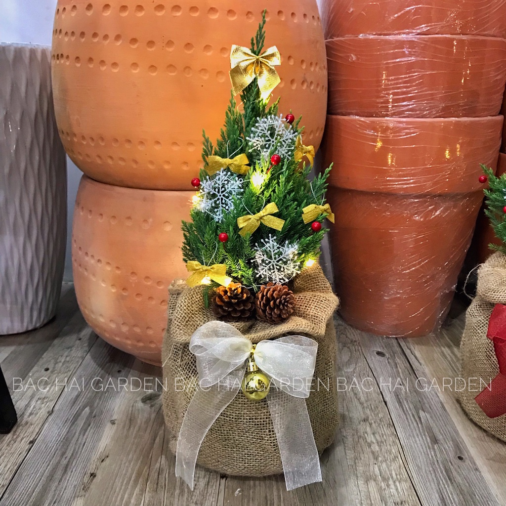 CÂY SƠN TÙNG GIÁNG SINH SIZE 50CM FULL PHỤ KIỆN + TÚI BỐ + ĐÈN LED