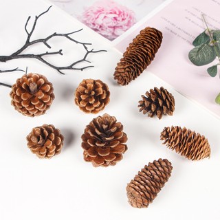 Quả thông khô phụ kiện decor trang trí noel giáng sinh
