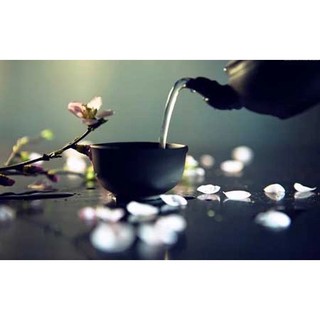 TRÀ TIÊN TRƯỜNG NIÊN (Lá trà tiên, lá trà bancha)