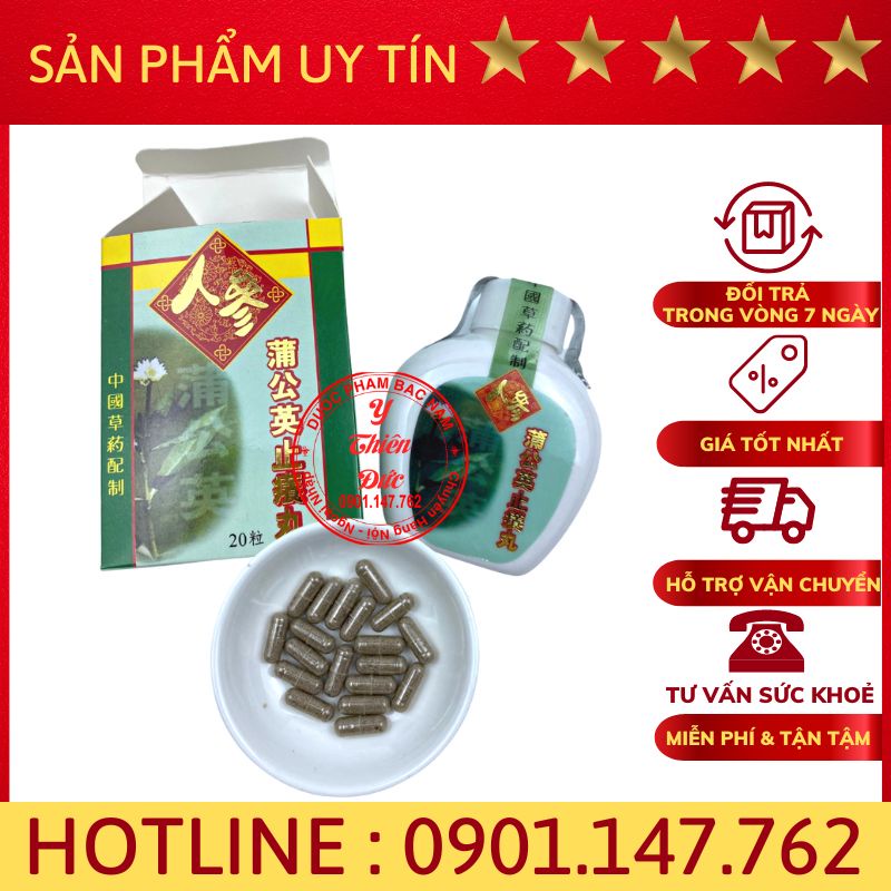 Nhân sâm bồ công anh Malaysia _ Hỗ trợ ngứa da